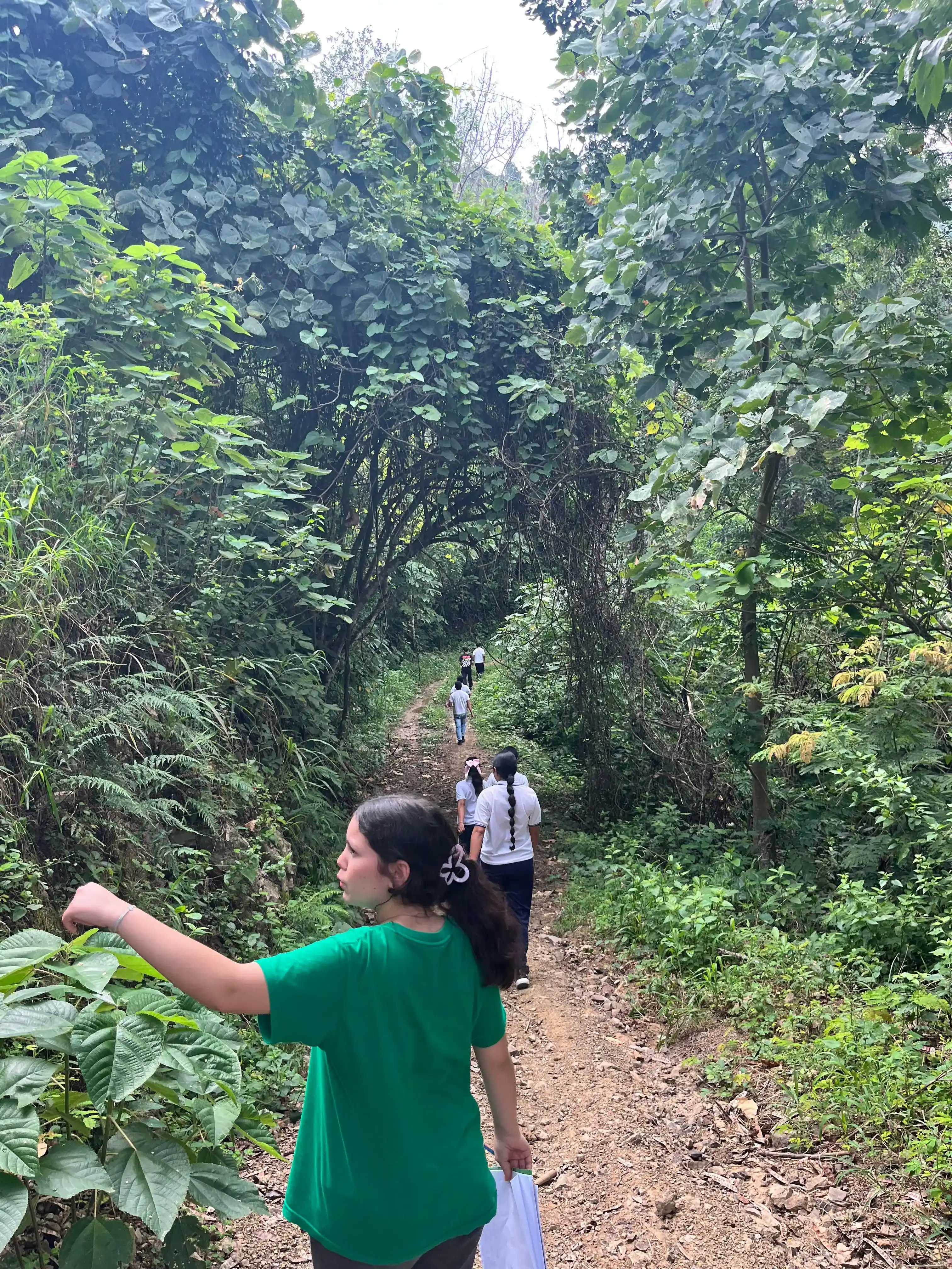 Estudiantes recorriendo un sendero boscoso con vegetación densa durante el reconocimiento del territorio